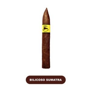 JM's Sumatra Cigars Box-50ct