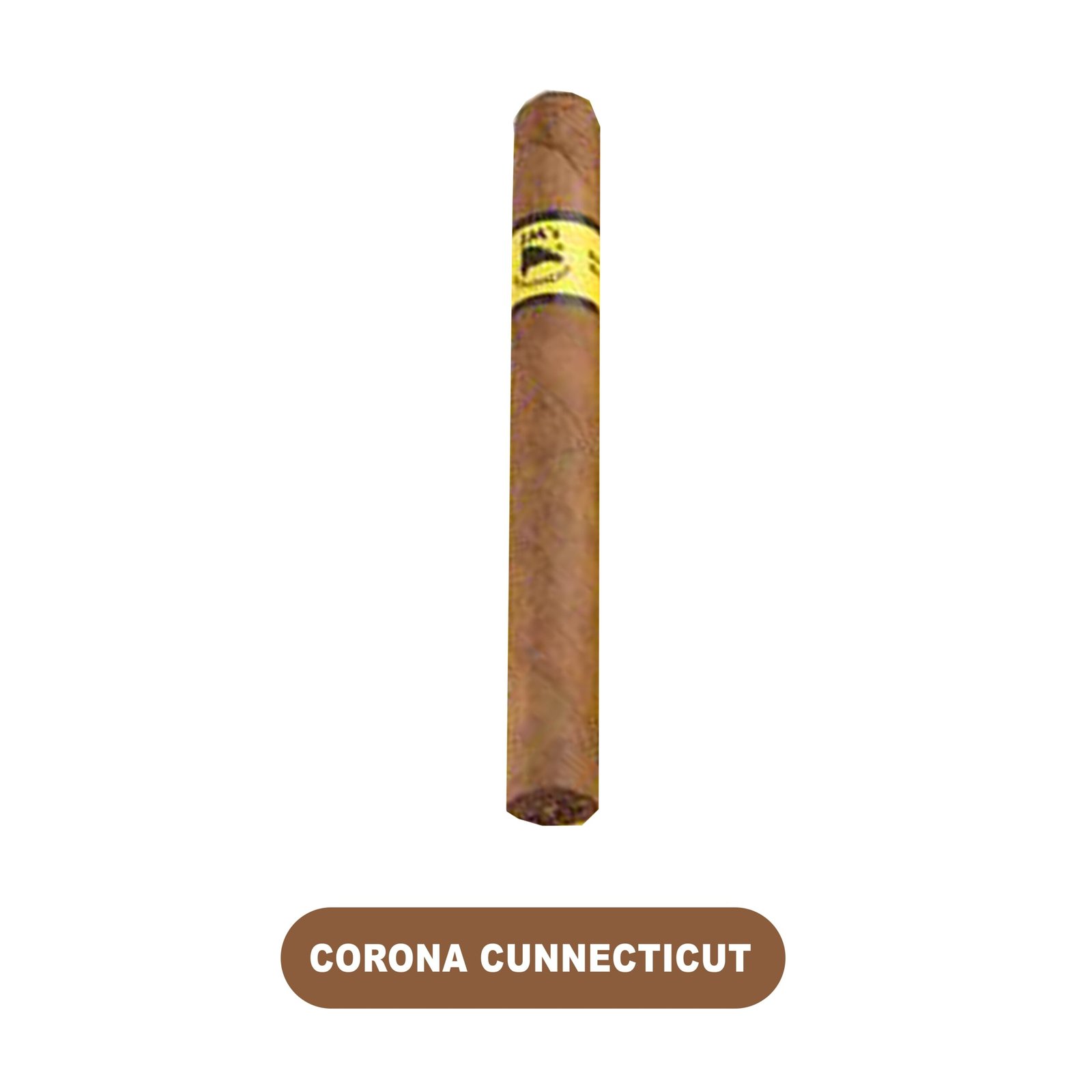 JM's Connecticut Cigars Box-50ct - Image 3