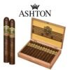 Ashton VSG Robusto-24ct